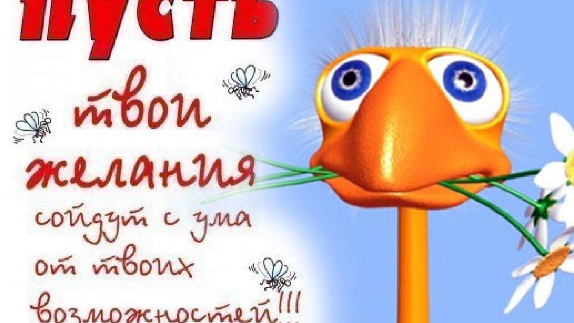 Поздравления мише с днем рождения прикольные короткие Поздравления мише с днем рождения прикольные короткие