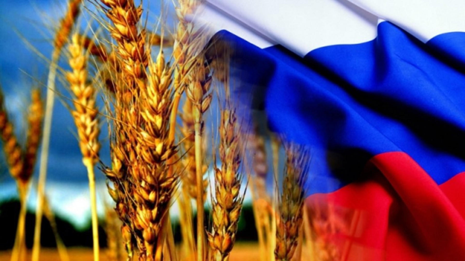 Поздравление Путина С Днем Сельского Хозяйства 2021