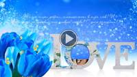 Поздравление женщине - Волшебный тюльпан !